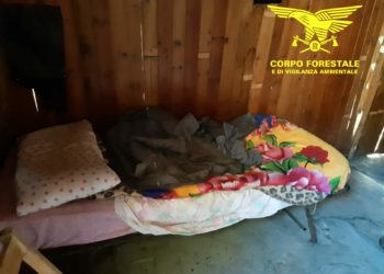 I forestali hanno arrestato un latitante evaso dal carcere di Alghero il 22 ottobre 2019