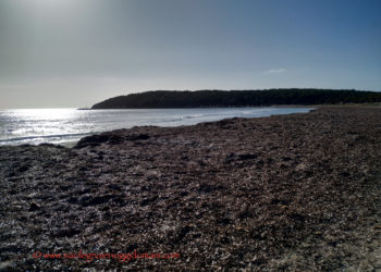 Il 14 gennaio Isabella Trombetta sarà ospite di IED Cagliari, per il ciclo di open lesson IEDTalks