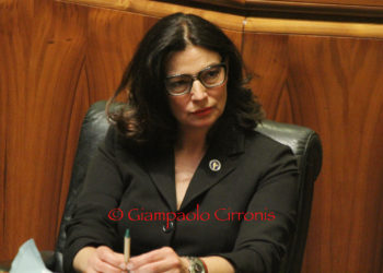 Gabriella Murgia: «Sulla cimice asiatica un confronto con Università, Agenzie ed Enti»