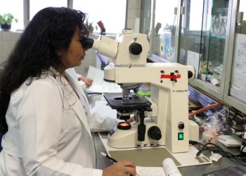 Malattie oncoematologiche e percorsi di immuno-terapia