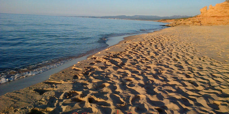 Giulio Calvisi: «Il rapporto Eurispes conferma il grande lavoro svolto ogni giorno dalle Forze Armate»