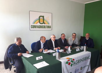 Luca Sanna (Agrinsieme): «La Giunta Solinas manca ancora di linea strategica sul futuro dell’agricoltura»