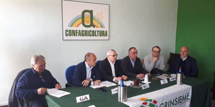 Luca Sanna (Agrinsieme): «La Giunta Solinas manca ancora di linea strategica sul futuro dell’agricoltura»