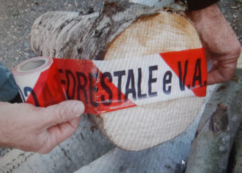 Gli uomini del Corpo Forestale hanno denunciato tre persone a piede libero