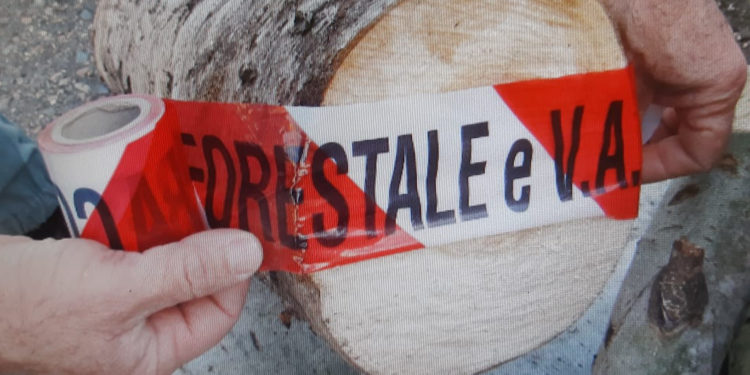 Gli uomini del Corpo Forestale hanno denunciato tre persone a piede libero
