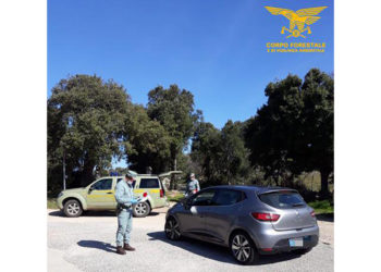 Il Corpo forestale dal 14 marzo ha eseguito 13.227 controlli, 174 le persone sanzionate