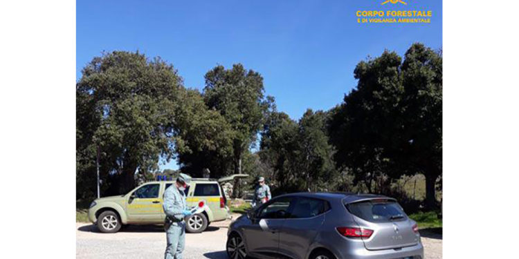 Il Corpo forestale dal 14 marzo ha eseguito 13.227 controlli, 174 le persone sanzionate