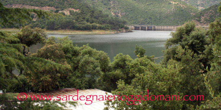 Gavino Zirattu (Anbi Sardegna): «L’emergenza non ferma il lavoro dei Consorzi di bonifica isolani»