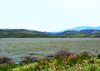 Gavino Zirattu (Anbi Sardegna): «L’emergenza non ferma il lavoro dei Consorzi di bonifica isolani»