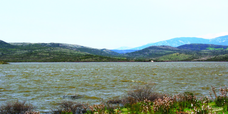Gavino Zirattu (Anbi Sardegna): «L’emergenza non ferma il lavoro dei Consorzi di bonifica isolani»