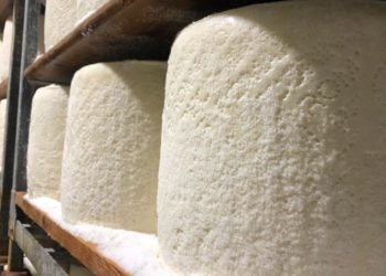 Sono 624 i casi di positività al Covid-19 riscontrati in Sardegna dall’inizio dell’emergenza. 26 i deceduti