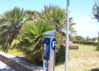 Servizi, manutenzione e vigilanza per la Pelosa di Stintino