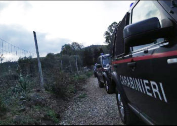 Sono stati fermati stamane i presunti autori del duplice omicidio dei fratelli Mirabello