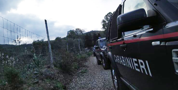 Sono stati fermati stamane i presunti autori del duplice omicidio dei fratelli Mirabello