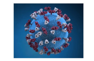 Le proposte di FSI-Riconquistare l’Italia per uscire dall’emergenza Coronavirus