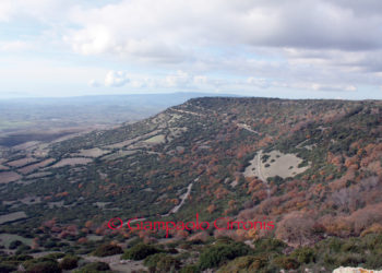 Gianni Lampis: «Un finanziamento di 550.000 euro per valorizzare e tutelare la Giara di Gesturi»