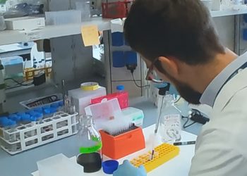 Salgono a 1.113 i casi positivi al Covid-19 in Sardegna, 22 più di ieri (543 i tamponi eseguiti). Invariato il numero di decessi, 73