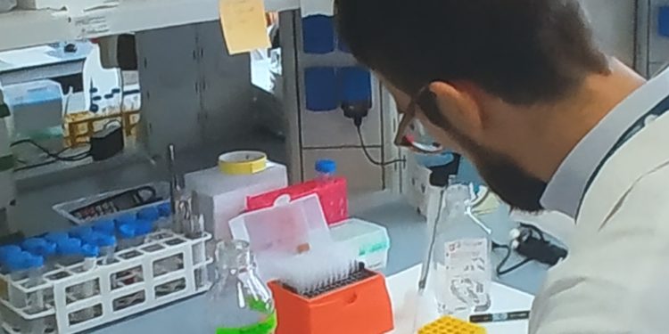 Salgono a 1.113 i casi positivi al Covid-19 in Sardegna, 22 più di ieri (543 i tamponi eseguiti). Invariato il numero di decessi, 73