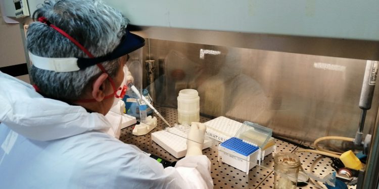 Salvatore Rubino: «Nessuna contaminazione, laboratorio sempre in funzione»