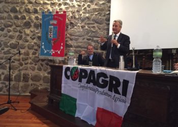 Franceo Verrascina (Copagri): «Serve un Tavolo di monitoraggio sui fondi del DL Liquidità»