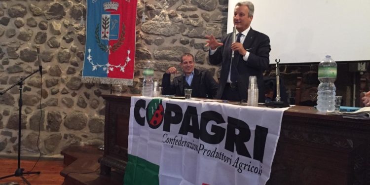 Franceo Verrascina (Copagri): «Serve un Tavolo di monitoraggio sui fondi del DL Liquidità»
