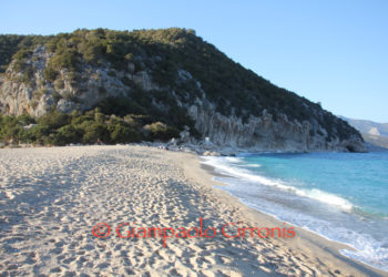 M5S: «No ad un campo boe davanti a Cala Luna»