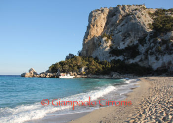 M5S: «No ad un campo boe davanti a Cala Luna»