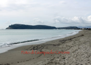 Edoardo Tocco: «No a provvedimenti restrittivi per il Poetto, tutelare la libertà dei bagnanti e degli operatori economici»