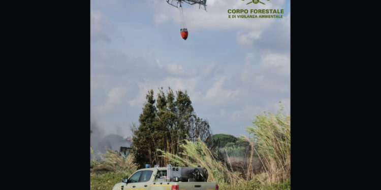 Oggi in Sardegna sono stati segnalati 3 incendi, a Zeddiani è intervenuto il mezzo aereo del Corpo forestale
