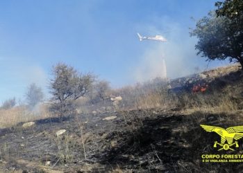Un elicottero del Corpo forestale della base di Limbara sta intervenendo su un incendio ad Arzachena, in località Riu di Spiteddu