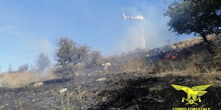 Un elicottero del Corpo forestale della base di Limbara sta intervenendo su un incendio ad Arzachena, in località Riu di Spiteddu