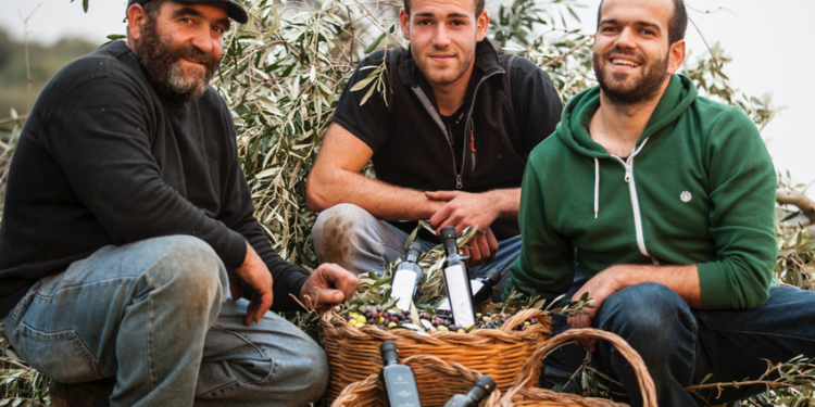 Bolotana: Giacomo Nieddu tra i migliori giovani olivicoltori italiani