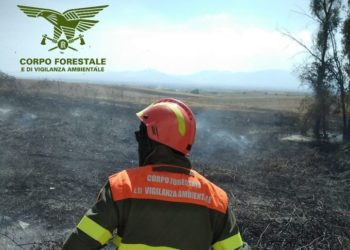 Incendio a Las Plassas, sul posto uomini e mezzi del Corpo forestale