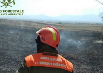 Incendio nelle campagne di Orani, in azione uomini e mezzi della Forestale