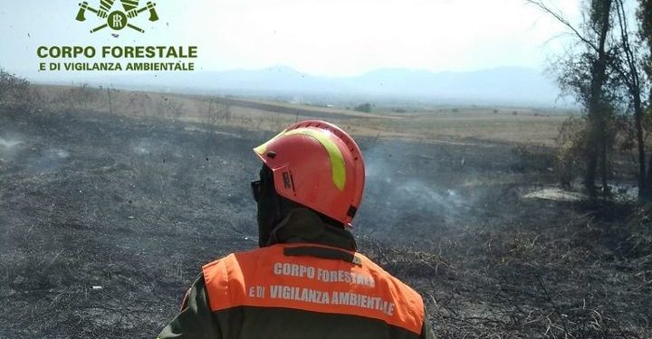 Incendio a Las Plassas, sul posto uomini e mezzi del Corpo forestale