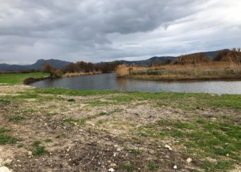 Coghinas: avviate le procedure per affidare i lavori di pulizia degli argini