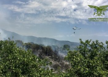 Incendio a Telti, sul posto mezzi e uomini del Corpo forestale