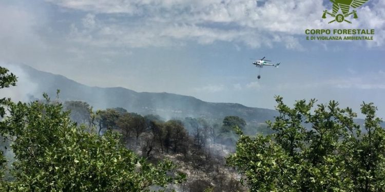 Incendio a Telti, sul posto mezzi e uomini del Corpo forestale