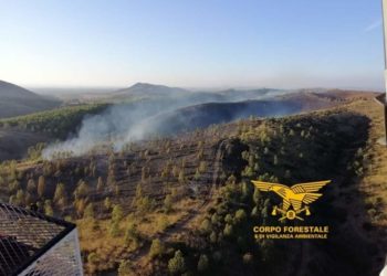 Furtei: domato l’incendio in località “Punta Manna”