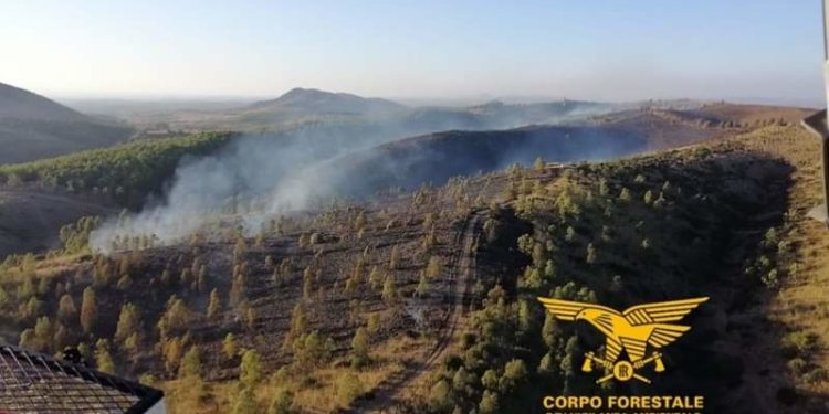 Furtei: domato l’incendio in località “Punta Manna”