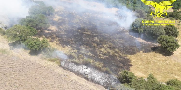 Incendi a Gairo, Cossoine e Villasalto, sul posto mezzi e uomini della Forestale