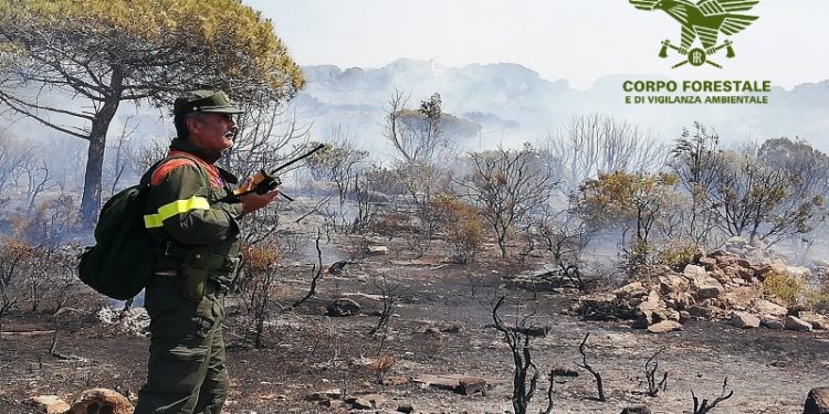 Incendi a Bonorva e Luogosanto, in azione il Corpo Forestale