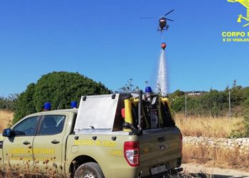 Incendio nelle campagne di Morgongiori, sul posto uomini e mezzi della Forestale