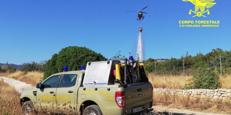 Incendio nelle campagne di Morgongiori, sul posto uomini e mezzi della Forestale