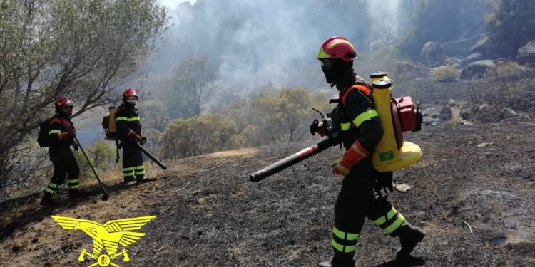 Incendio ad Assemini, in azione mezzi e uomini della Forestale