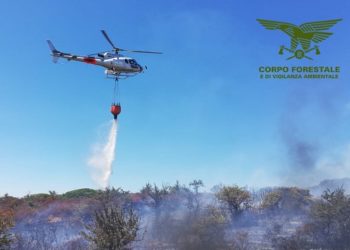 Incendio a Usellus, in azione mezzi e uomini della Forestale
