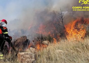 Incendio nelle campagne di Usellus, sul posto mezzi e uomini della Forestale