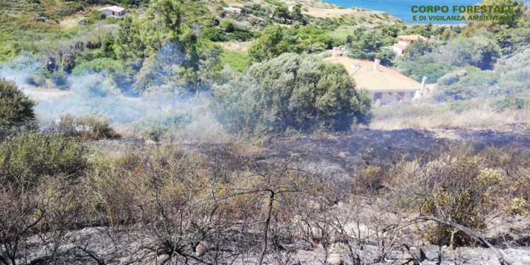 E’ stata una giornata molto difficile nella lotta agli incendi, in Sardegna. Le situazioni più complicate a Bosa e Tramatza