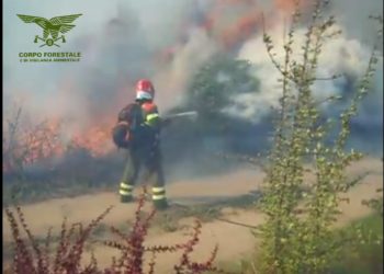 Un elicottero del Corpo forestale della base di Fenosu (OR) sta intervenendo su un incendio a Tramatza, in località Crugullonis
