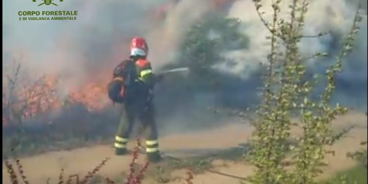 Un elicottero del Corpo forestale della base di Fenosu (OR) sta intervenendo su un incendio a Tramatza, in località Crugullonis